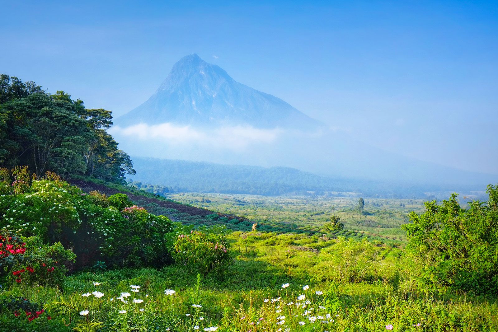 Congo-the Democratic Republic of the