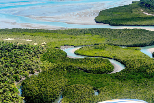 Guinea-Bissau